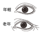 美骨肌:頭蓋骨的骨質疏松癥與皺紋的聯系