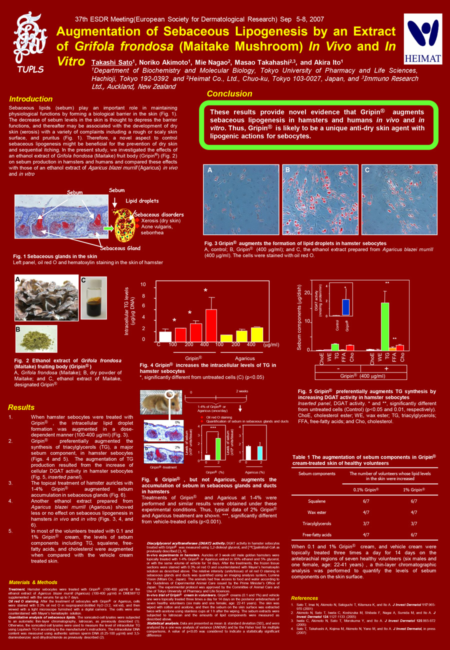 Augmentation of Sebaceous Lipogenesis by an Extract of Maitake Mushroom In Vivo and In Vitro