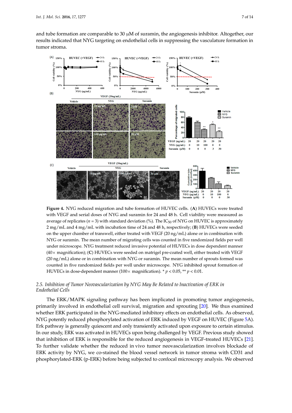 Potential of Pigment from Saw Palmetto for Adjuvant Therapy of Hepatocellular Carcinoma P7