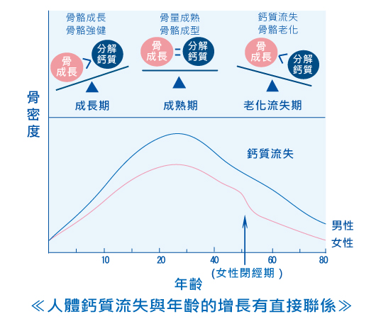 人體鈣質流失與年齡的增長有直接聯係