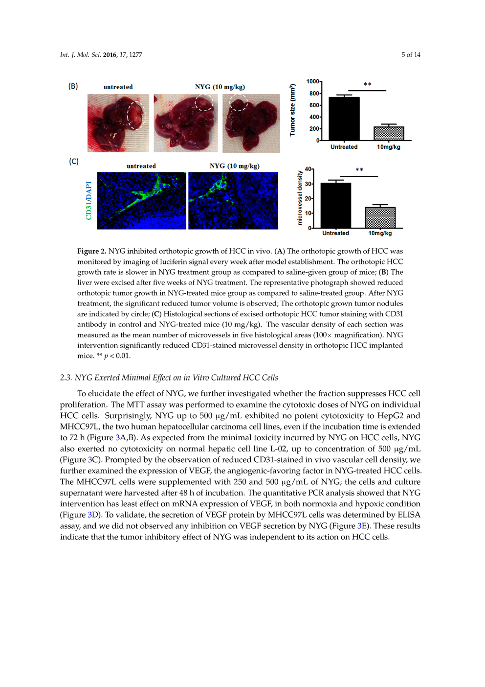 Potential of Pigment from Saw Palmetto for Adjuvant Therapy of Hepatocellular Carcinoma P5