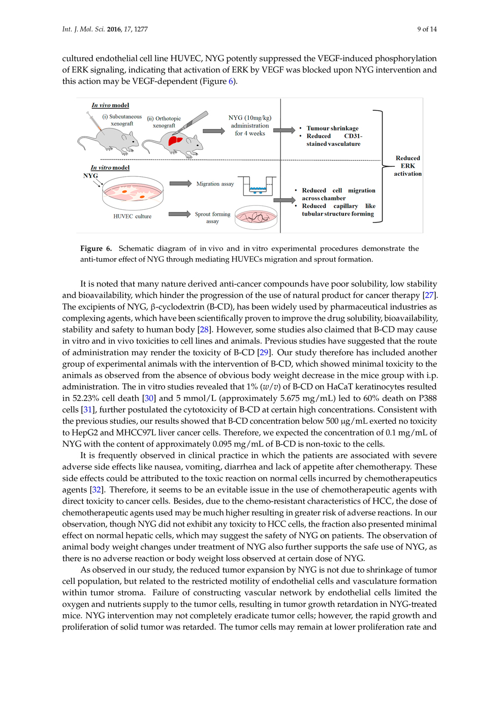 Potential of Pigment from Saw Palmetto for Adjuvant Therapy of Hepatocellular Carcinoma P9