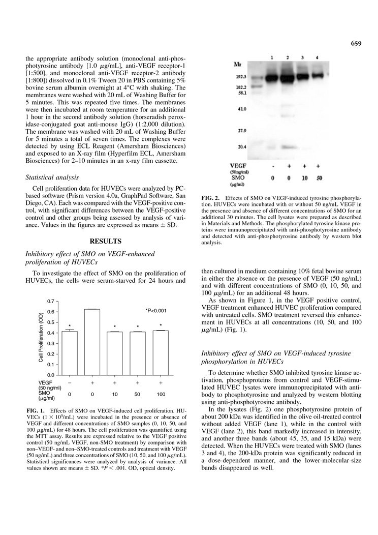 Inhibition of Tyrosine Phosphorylation of Vascular Endothelial Growth P3