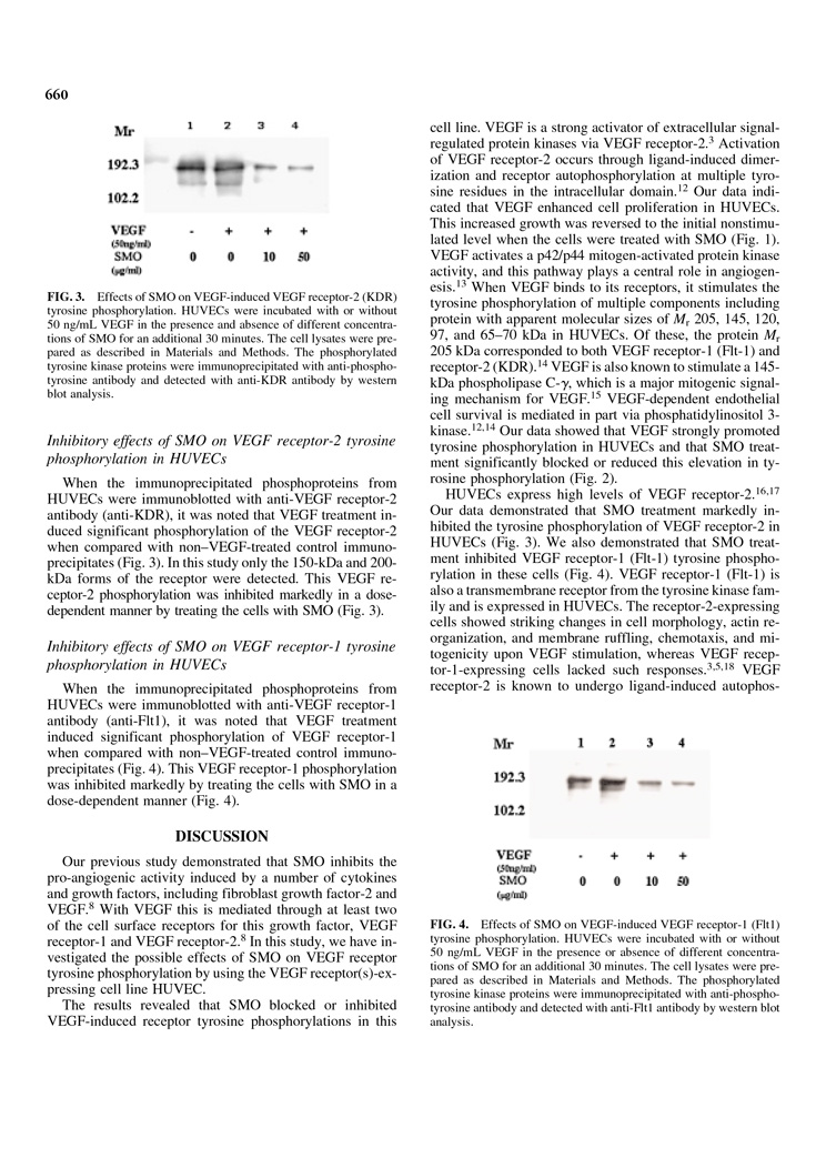 Inhibition of Tyrosine Phosphorylation of Vascular Endothelial Growth P4