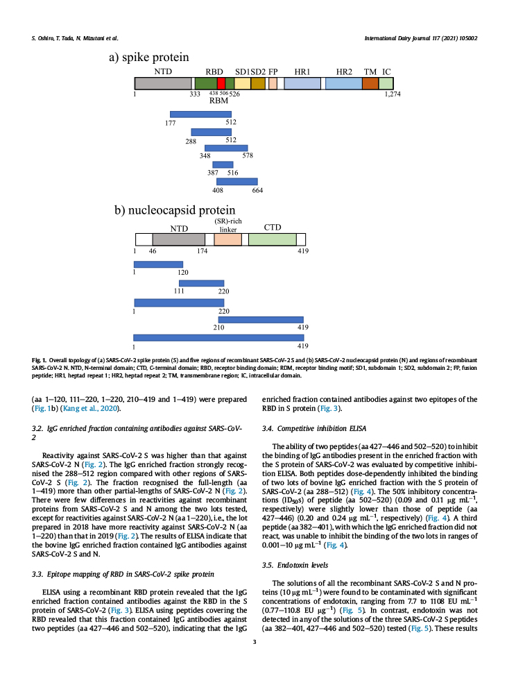 Presence of antibodies against SARS-CoV-2 spike protein in bovine whey IgG enriched fraction P3