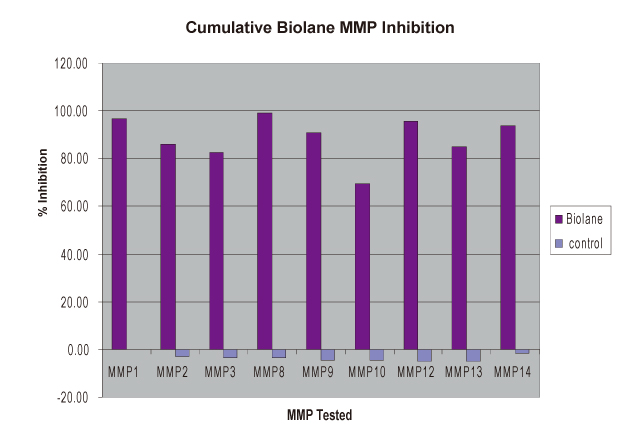 Commute Biolane MMP Inhibition