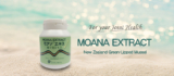 Moana Extract