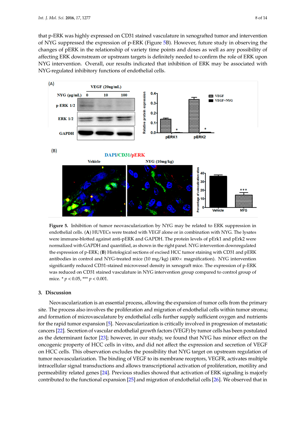 Potential of Pigment from Saw Palmetto for Adjuvant Therapy of Hepatocellular Carcinoma P8