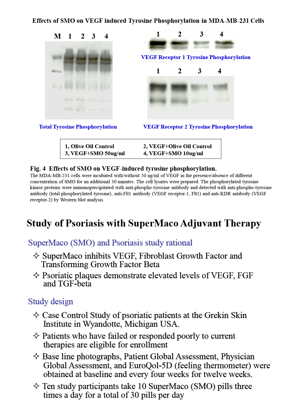 An ethanolic extract from a shark having potent anti-angiogeneric activity P6