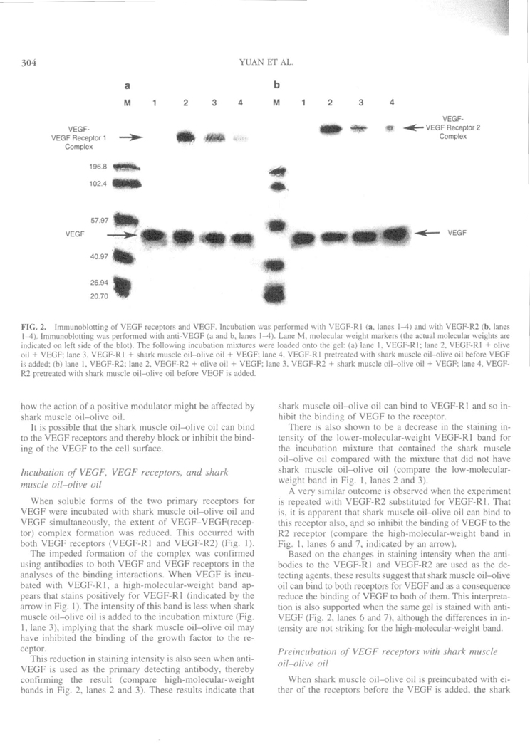 Inhibition of Pro-Angiogenic Factors by a Lipid-Rich Shark Extract P5