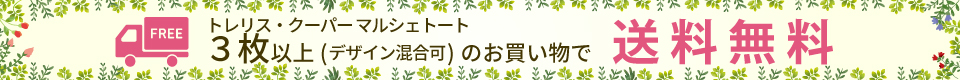 トレリスクーパーマルシェトートは3枚以上のお買い上げで送料無料です。