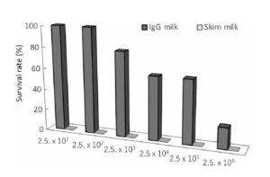 生乳由来IgG高含有濃縮乳清タンパクによるO157、サルモネラ、マック菌による感染防御