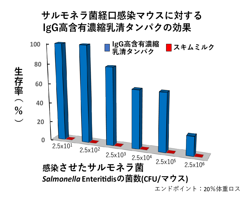 サルモネラ菌経口感染マウスに対するIgG抗含有濃縮乳清タンパクの効果