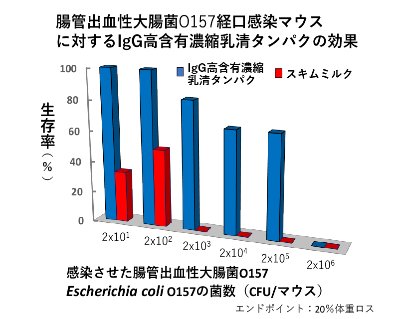 腸管出血性大腸菌O157経口感染マウスに対するIgG抗含有濃縮乳清タンパクの効果